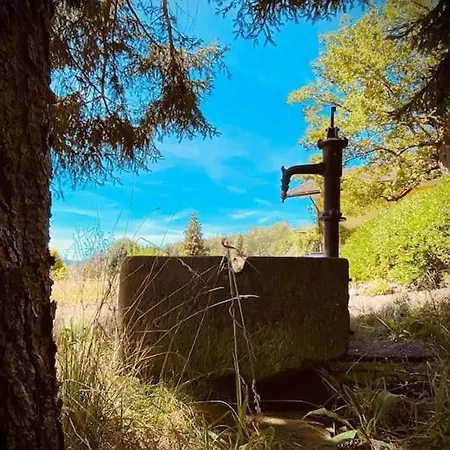 Chalet 15 Personnes Sauna Et